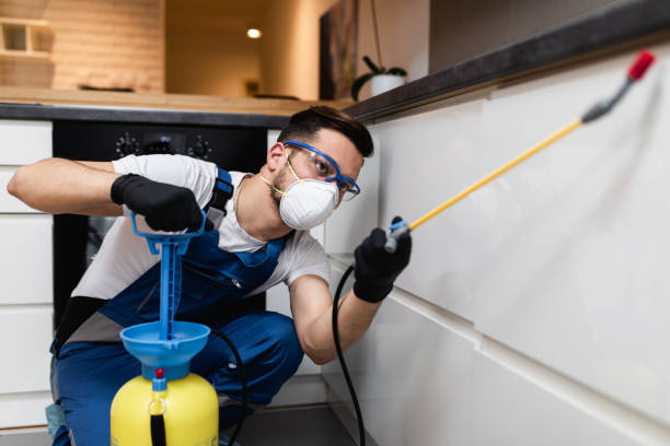 Best Best Pest Control Companies  in Cuba City, WI