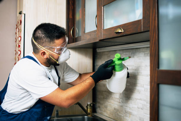 Best Pest Prevention Services  in Cuba City, WI