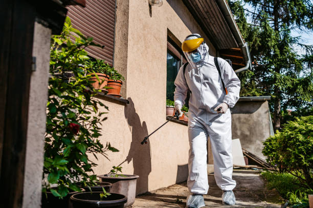 Best Rat Extermination Near Me  in Cuba City, WI