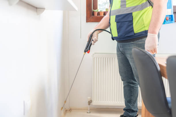 Best Local Pest Control Services  in Cuba City, WI