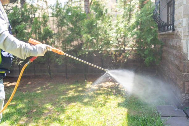 Best Insect Control  in Cuba City, WI