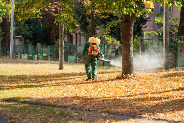 Professional Pest Control in Cuba City, WI