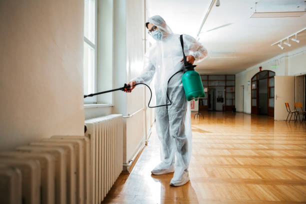 Best Insect Control  in Cuba City, WI